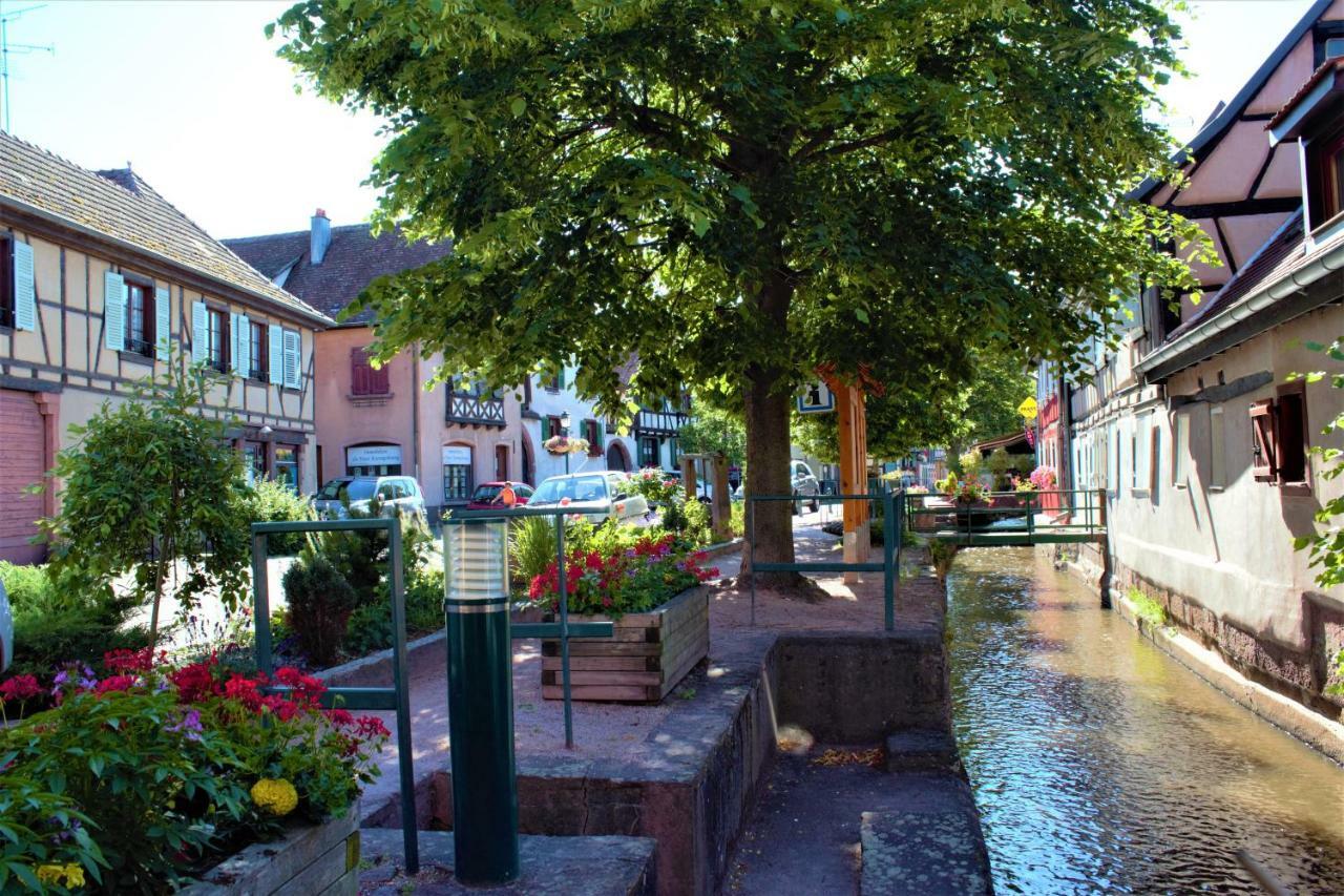 La Halte Des Vignes - Route Des Vins D'Alsace Apartment Scherwiller Exterior photo