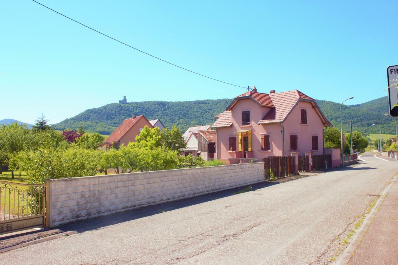 La Halte Des Vignes - Route Des Vins D'Alsace Apartment Scherwiller Exterior photo