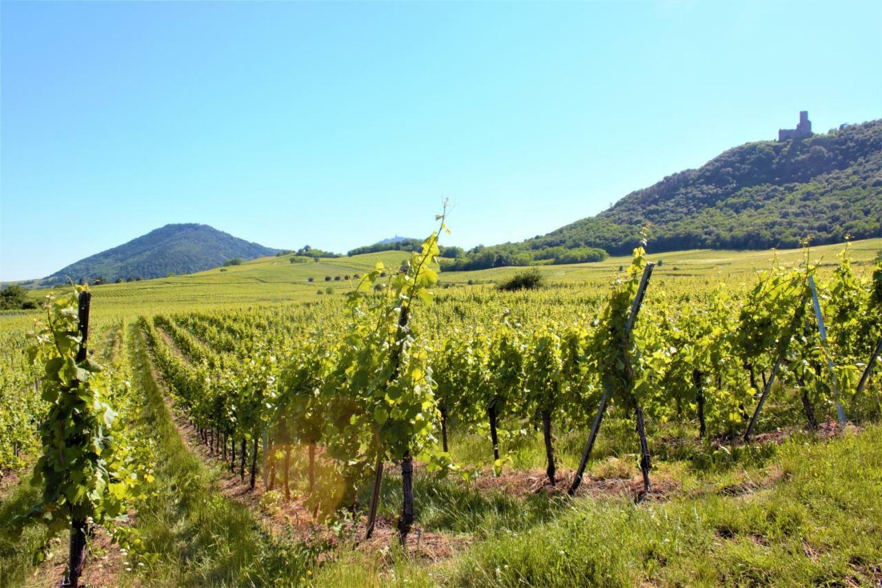 La Halte Des Vignes - Route Des Vins D'Alsace Apartment Scherwiller Exterior photo